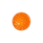 00005683.png