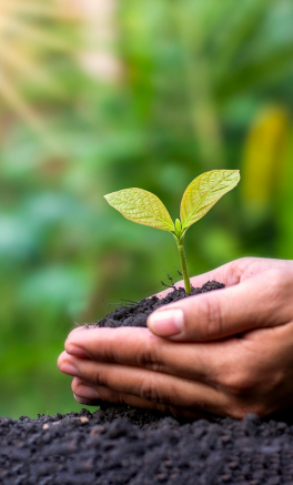 Produtos ecológicos
